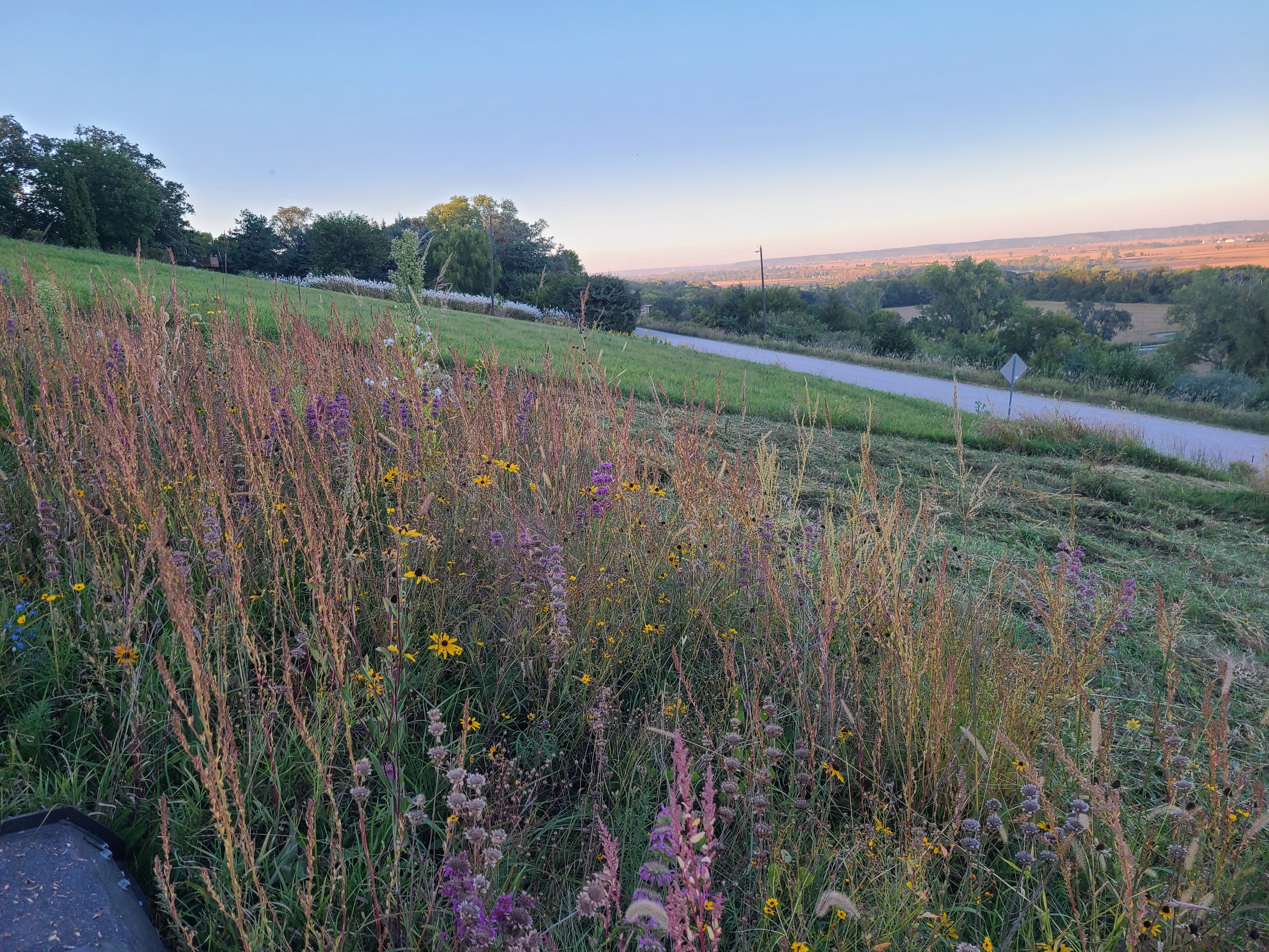 Prairie wildflower meadow with river and rolling countryside